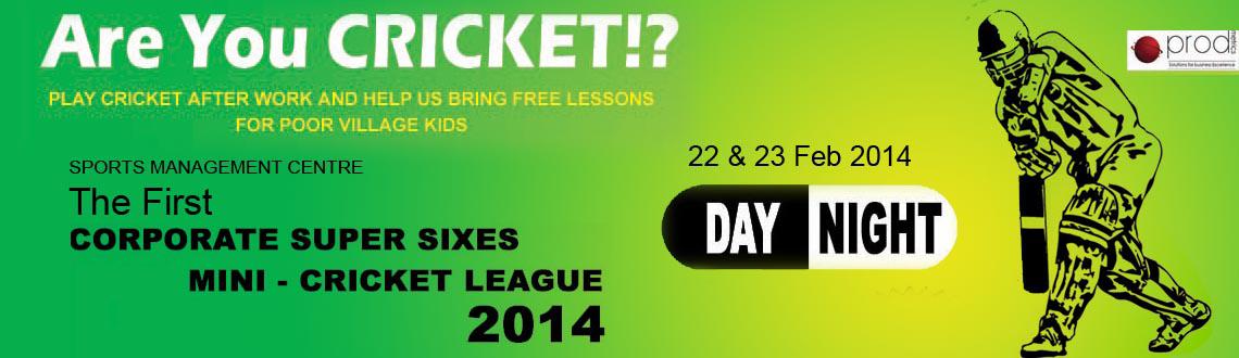 Are You Cricket - The First Corporate Super Sixes Mini - Cricket League 2014