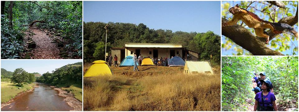 Camping inside Bhimashankar Wildlife Sanctuary!
