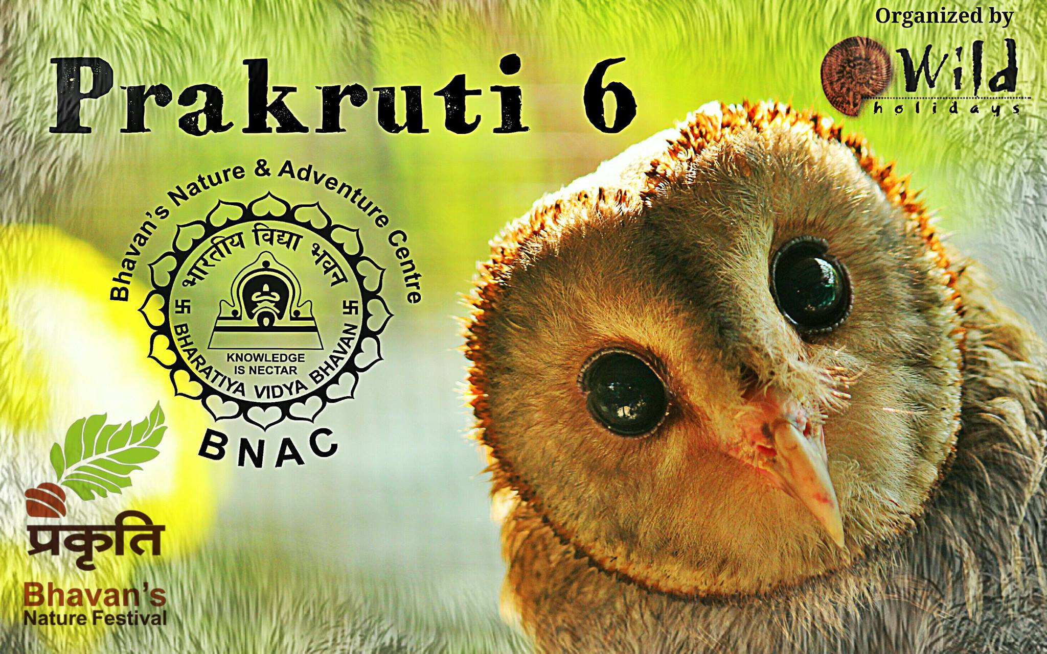Prakruti Nature Festival