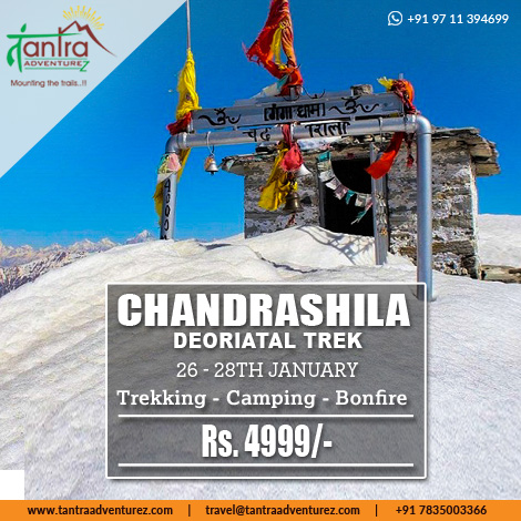 Chandrashilla Trek & Camping with Bonfire