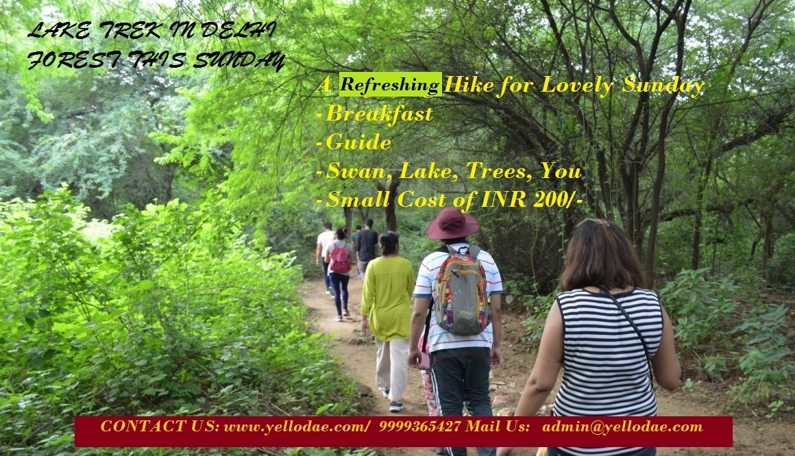 Lake Trek in Delhi Forest(IN 200)