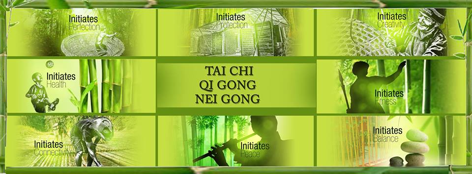 Tai Chi, Qi Gong and Nei Gong with Chris Fernandes