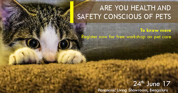 Pet Care Training Workshop