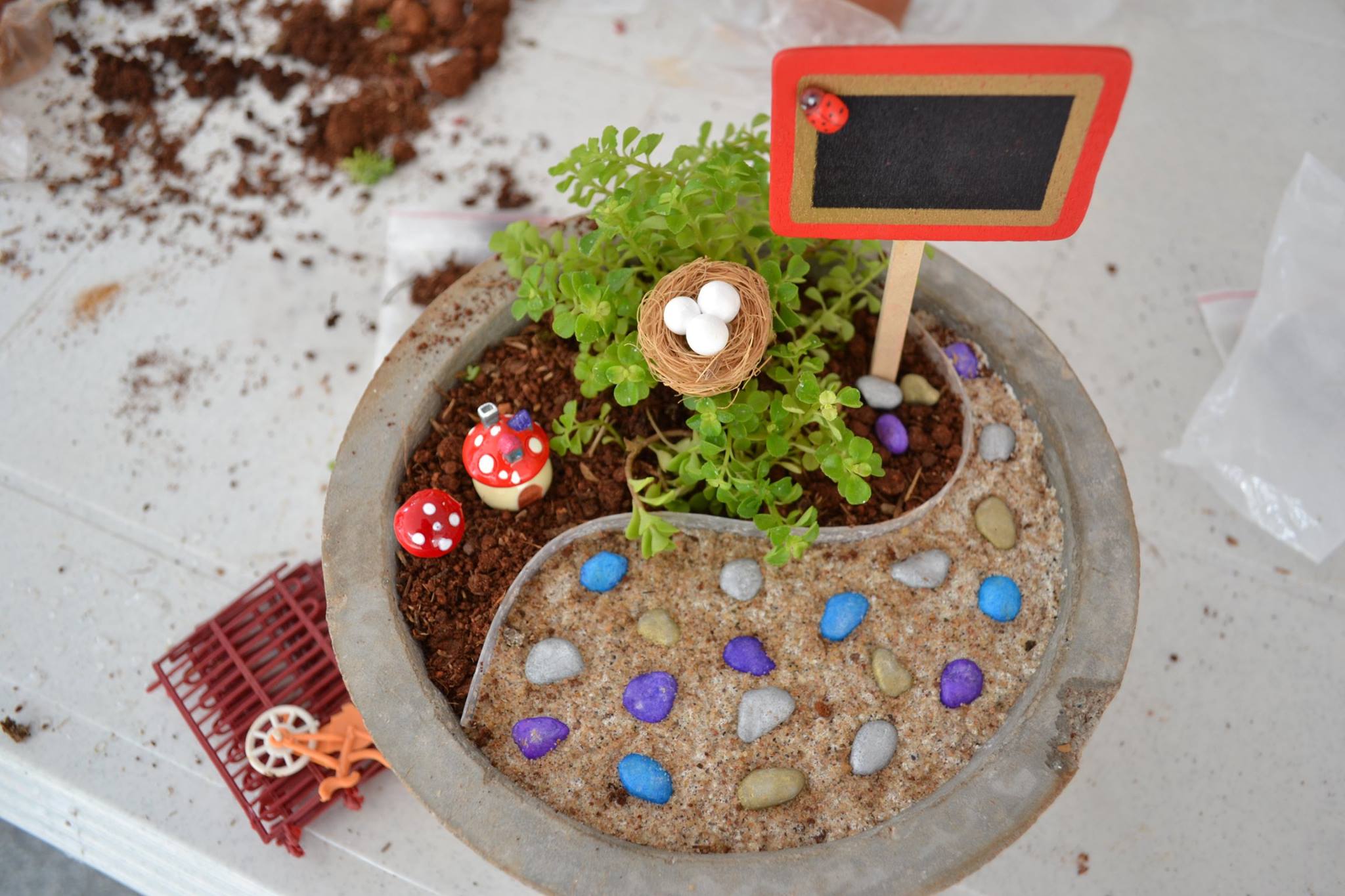 DIY Miniature Gardening Workshop Chd/Pkula
