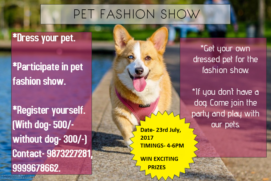 PET PARTY AND FASHION SHOW