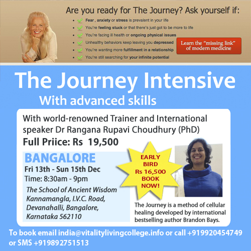 The Journey 3 day Intensive Seminar with Advanced skills Bangalore Dec 2013 with Dr Rangana Rupavi Choudhuri