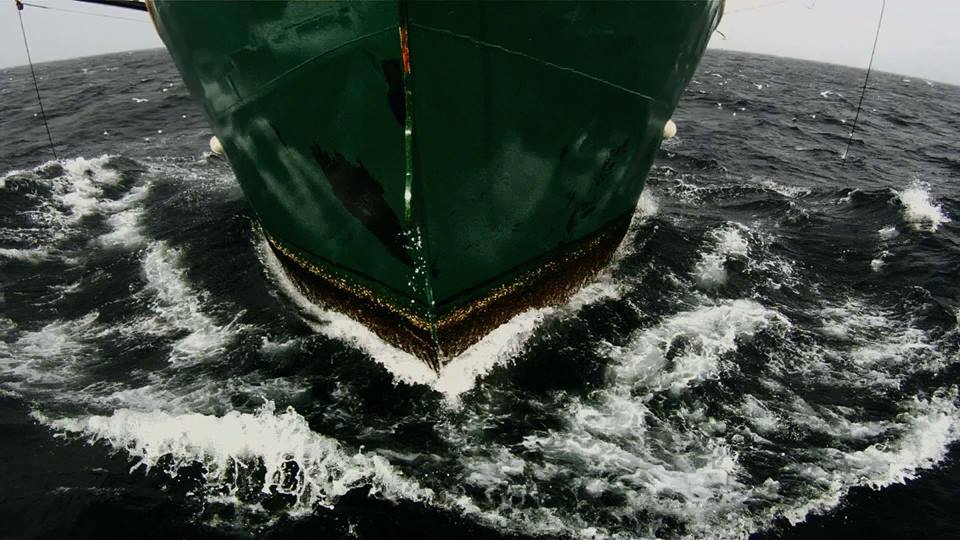 GEOGRAPHIES OF CONSUMPTION | BOMBAY/MUMBAI   Leviathan | Film Screening