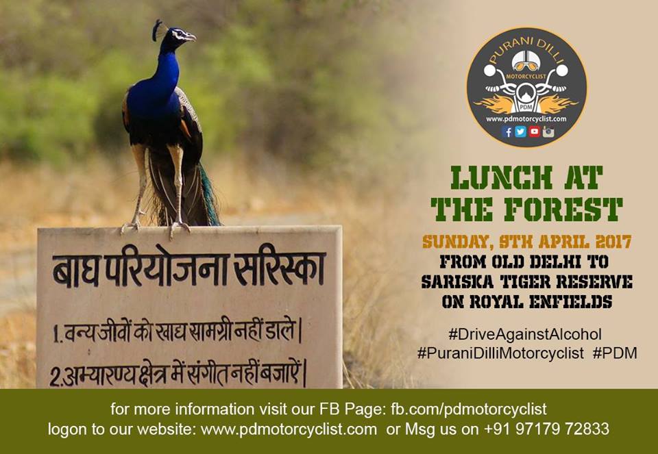 Lunch at Forest with PDM