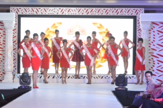 Dazzling Display of Beauty, Glamour & Style at--- MRS INDIA Earth 2016