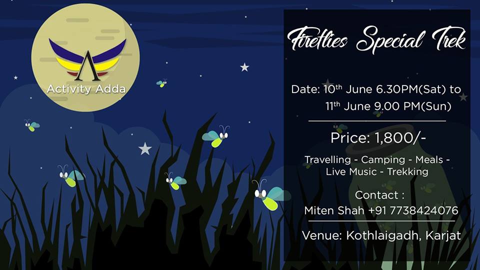Fireflies special trek