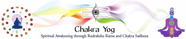 Chakra Yogi –Level 1