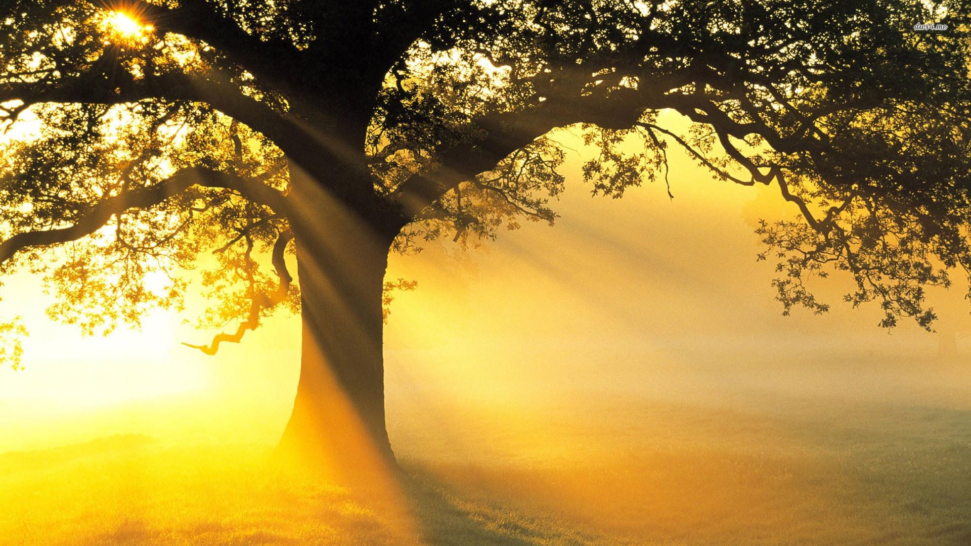 Love yourself, Heal your Life TRANSFORMATIONAL Workshop-Bengaluru